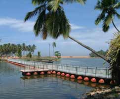 Trivandrum Travel Package